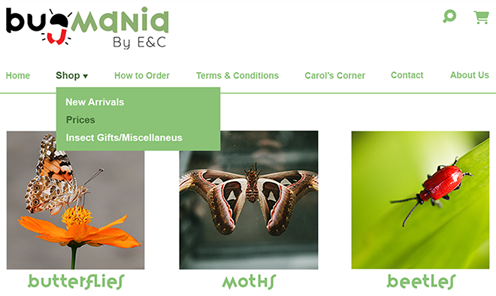 Bugmania Thumbnail