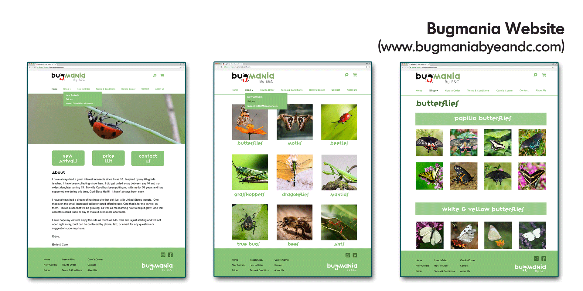 Bugmania Website